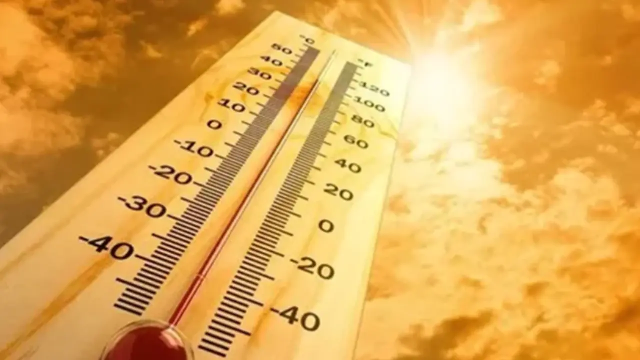 أجواء حارة في مصر مع تحذيرات من الشبورة والرياح اليوم الجمعة